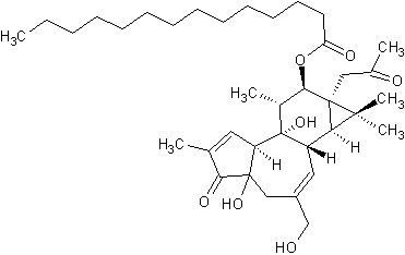 12-O-тетрадеканоилфорбол-13-ацетат